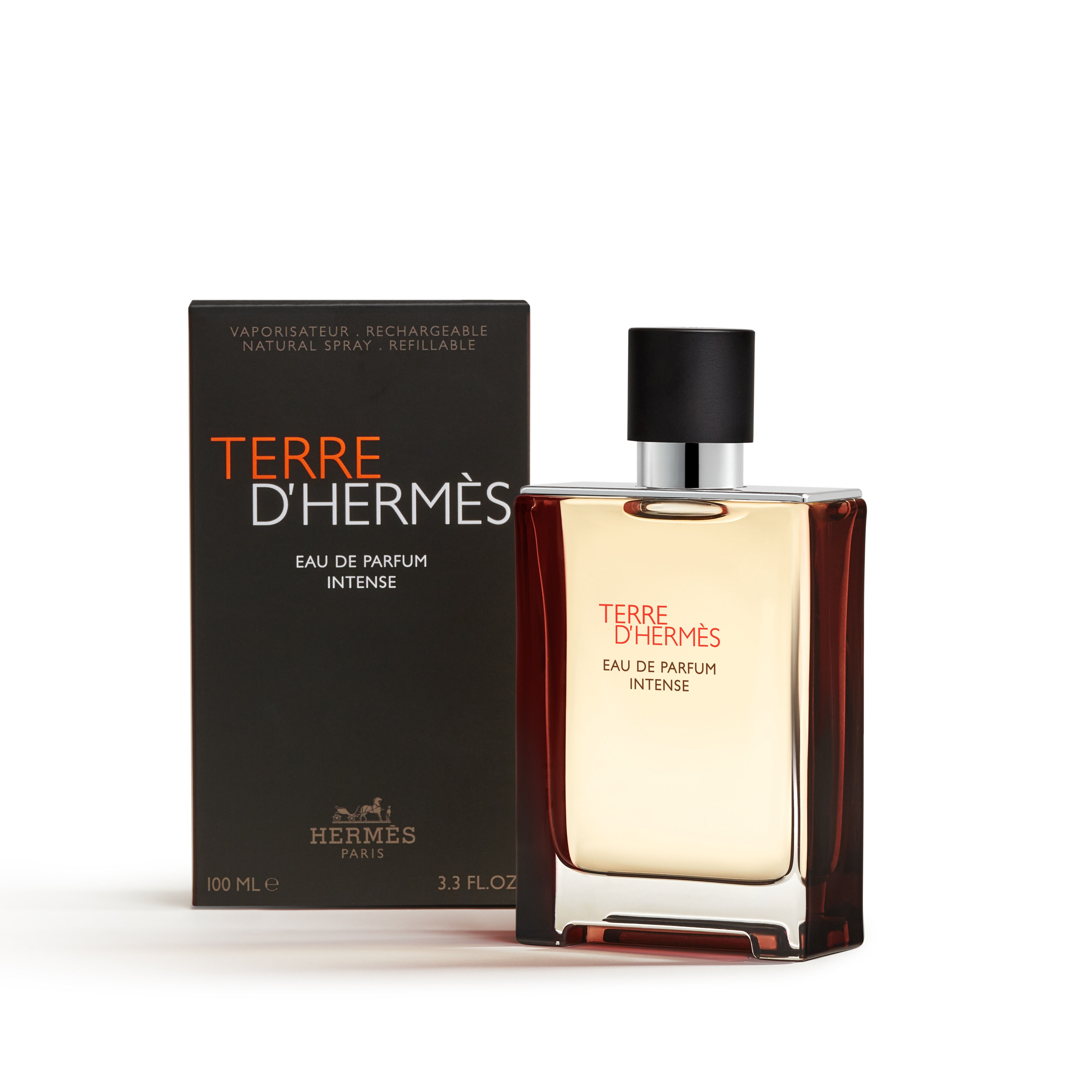 Perfume Hermès Terre D'Hermès Masculino Intense Eau de Parfum